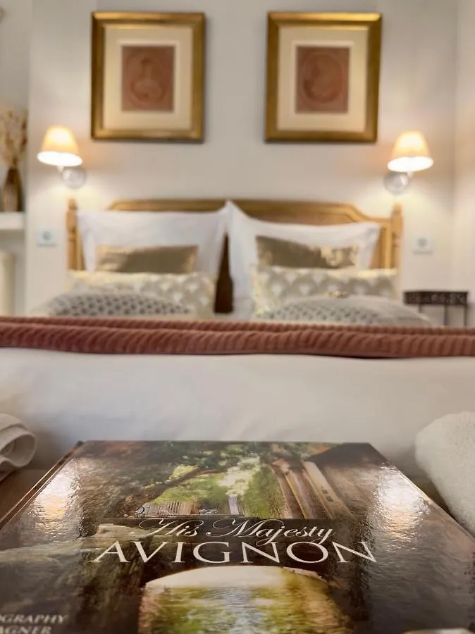 Les Anges Deluxe Avignon - Exclusive Luxury Home Apartment