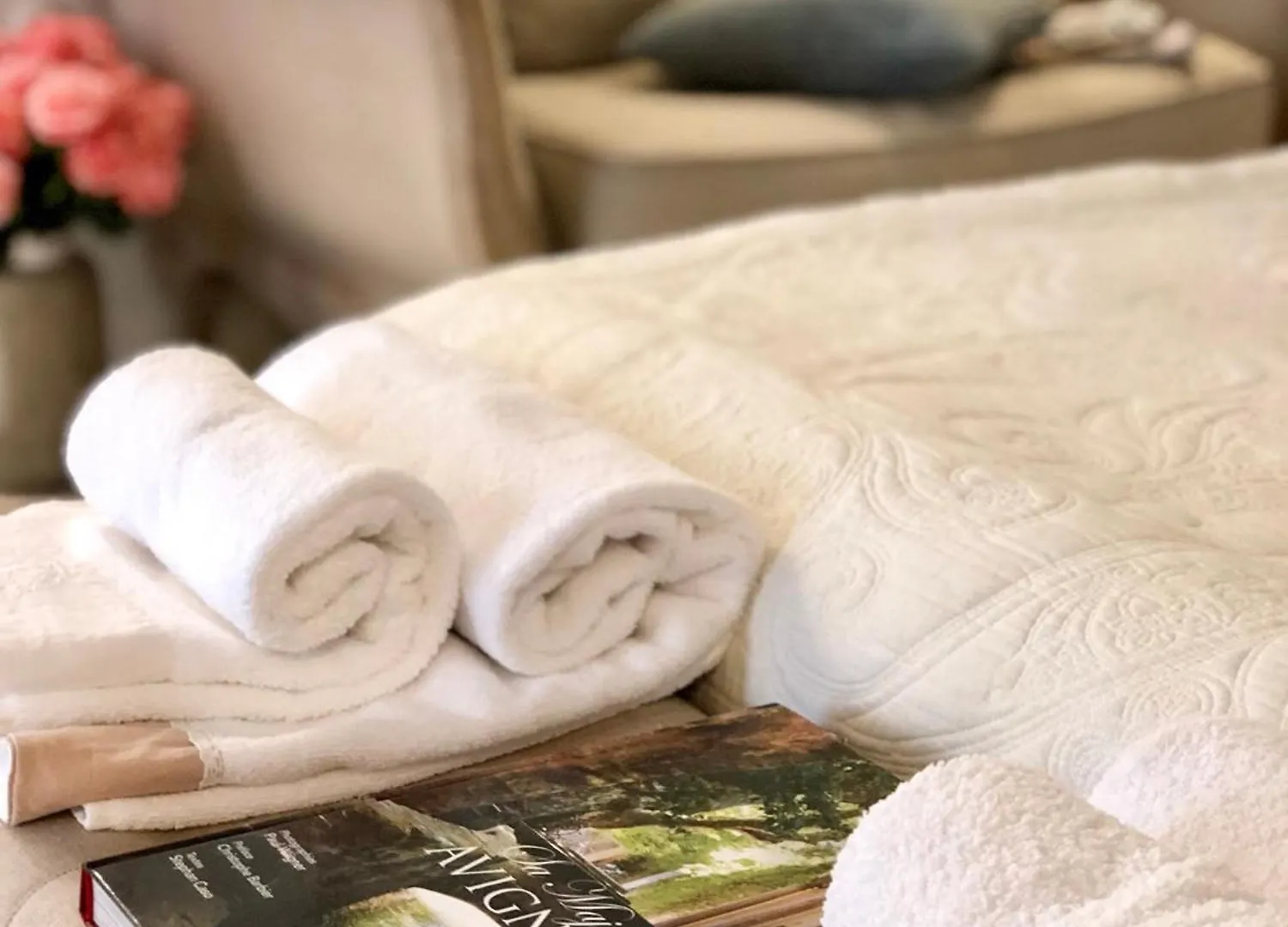 Apartment Les Anges Deluxe Avignon - Luxury Home & Exclusive Private Tours