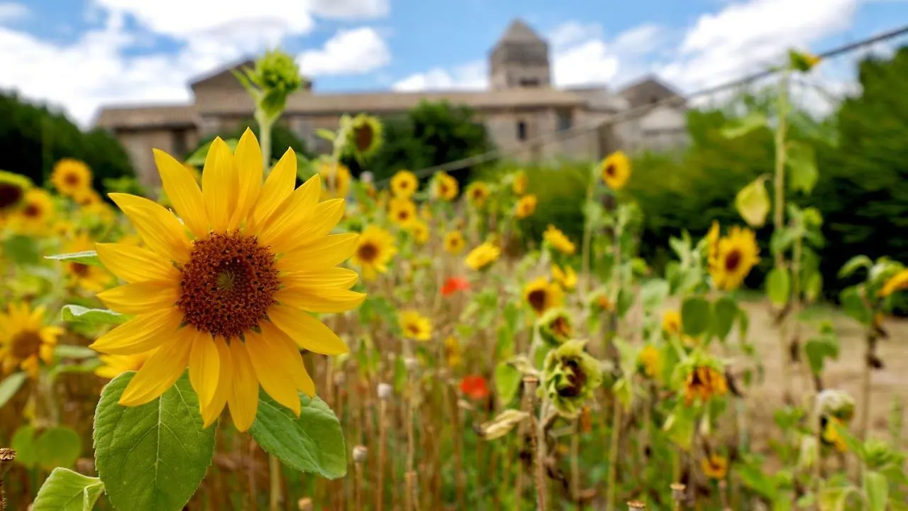 Les Anges Deluxe Avignon - Luxury Home & Exclusive Private Tours France
